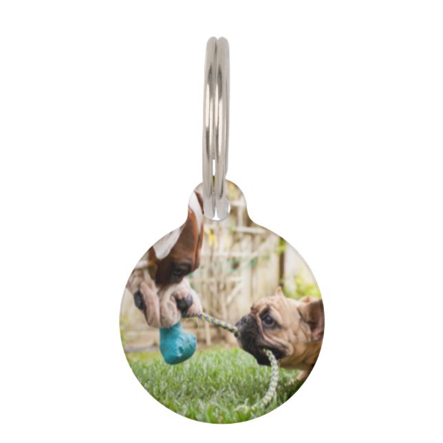 Médaillon Pour Animaux Personnalisé Votre Animal Photo Image Cute (Devant)