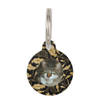 Personnaliser la feuille d'or faux sur chat noir