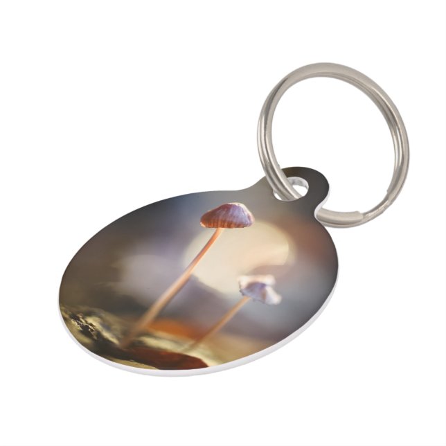 Médaillon Pour Animaux Petits champignons Photo nature (Côté )