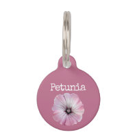 Pétunia à fleurs roses