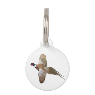 Médaillon Pour Animaux Pheasant