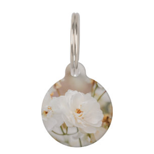 Médaillon Pour Animaux Photo de fleurs de rose blanches rêveuses et infor