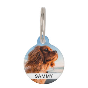 Médaillon Pour Animaux Photo et nom Numéro d'identification de l'animal B