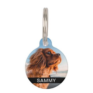 Médaillon Pour Animaux Photo et nom Numéro d'identification de l'animal N