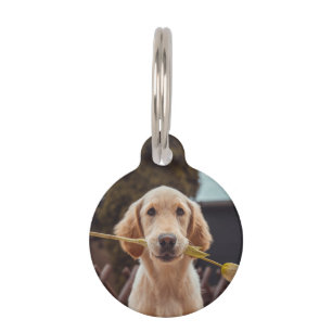 Médaillon Pour Animaux Photo et texte personnalisés