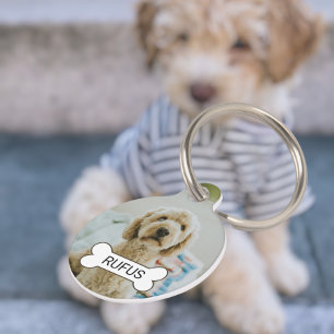 Médaillon Pour Animaux Photo Et Texte Personnalisés