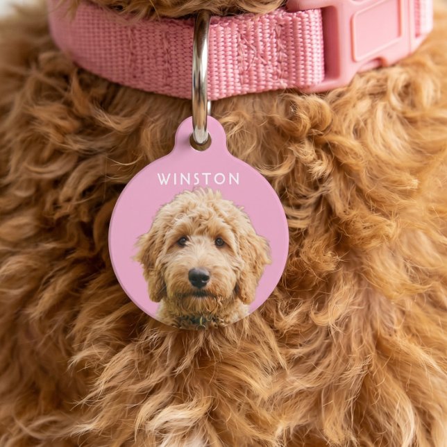 Médaillon Pour Animaux Photo Personalized Dogs Name - READ DESCRIPTION (Photo Personalized Dogs Name - READ DESCRIPTION Pet ID Tag by Ricaso. Remove the photos background)