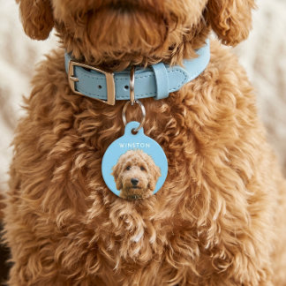 Médaillon Pour Animaux Photo Personalized Dogs Name - READ DESCRIPTION