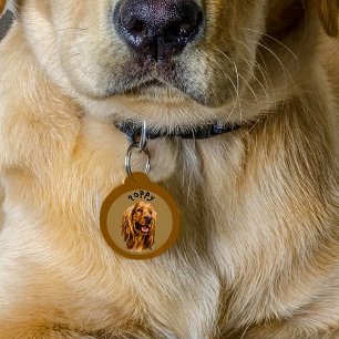 Médaillon Pour Animaux Photo personnalisé de Cocker Spaniel Personnalis