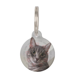 Médaillon Pour Animaux Photo personnalisée