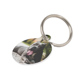 Médaillon Pour Animaux Photo personnalisée en mémoire