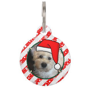 Médaillon Pour Animaux Photo personnalisée Noël Père Noël Pet HO HO HO HO