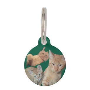 Médaillon Pour Animaux Photos de trois chats, Personnalisé