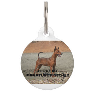Médaillon Pour Animaux PIC rouge de l'amour W de goupille minimum pleine