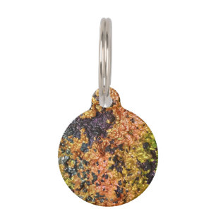 Médaillon Pour Animaux Pierres tombales Rusty
