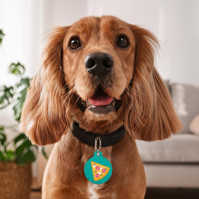 Médaillon Pour Animaux Pizza Slice de dessin (Créateur téléchargé)