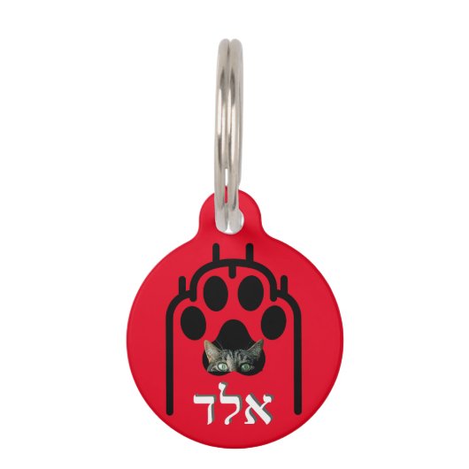 Médaillon Pour Animaux Placa para macotas Pequeña, ¨b'li ayin hara¨ (Devant)