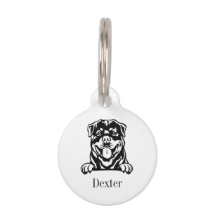 Médaillon Pour Animaux plaque personnalisée avec nom pour chien rottweile