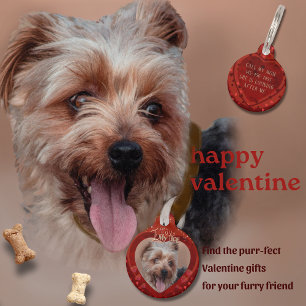 Médaillon Pour Animaux Porte - clé photo Valentine Red