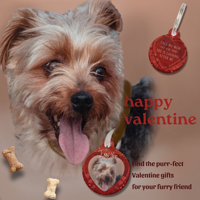 Médaillon Pour Animaux Porte - clé photo Valentine Red (Valentine Red Photo Keychain Pet ID Tag)