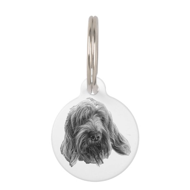 Médaillon Pour Animaux Promeneur de terrain Spinone (Devant)