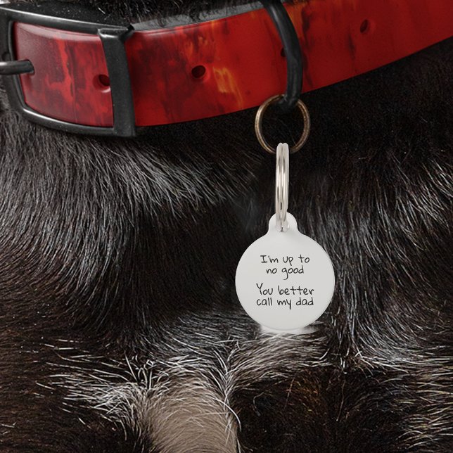 Médaillon Pour Animaux Puce d'identification pour chien et chat drôle Per (Créateur téléchargé)