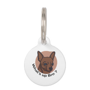 Médaillon Pour Animaux Quoi de neuf Bro Chihuahua, Drôle Citation Chien
