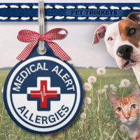 Red White Blue Médicale Alert Allergy Chien Chat