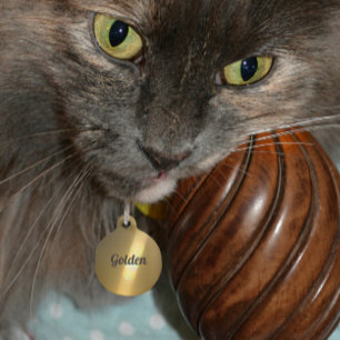 Médaillon Pour Animaux Réfraction Lumière Dorée Bronze Personnalisé