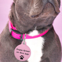 Reine de Drame Animal de Compagnie sur quatre patt