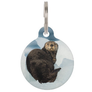 Médaillon Pour Animaux Remise de la Loure de mer
