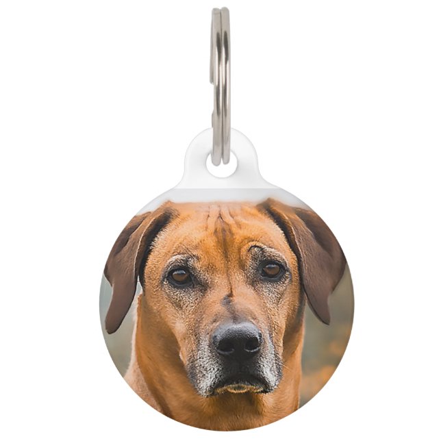 Médaillon Pour Animaux Rhodesian Ridgeback Dog. (Devant)