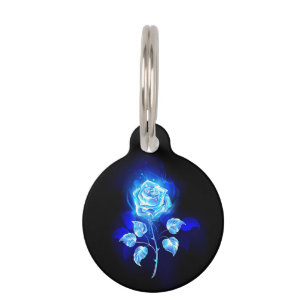 Médaillon Pour Animaux Rose bleu brûlant