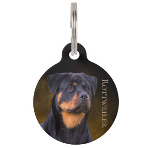 Médaillon Pour Animaux Rottweiler