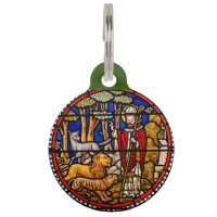 Saint François Protecteur animal