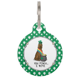 Médaillon Pour Animaux Saint Patrick's Day Irlandais Setter Dog (rouge 1)