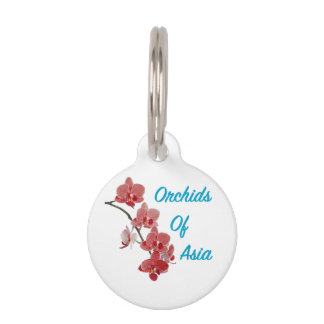 Médaillon Pour Animaux Salon de jour Orchidées d'Asie