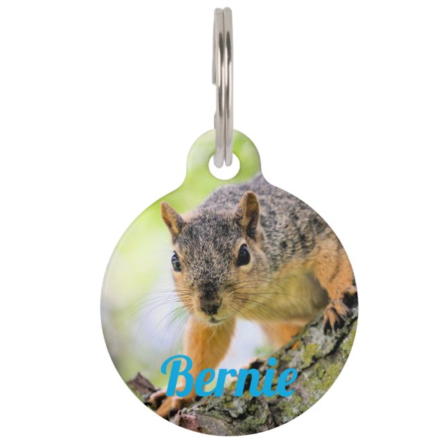 Médaillon Pour Animaux Salut (Devant)