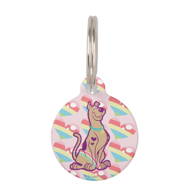 Médaillon Pour Animaux Scooby-Doo arc-en-ciel (Devant)