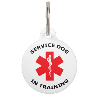 Médaillon Pour Animaux Service Dog en formation