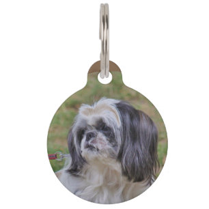Médaillon Pour Animaux Shih Tzu