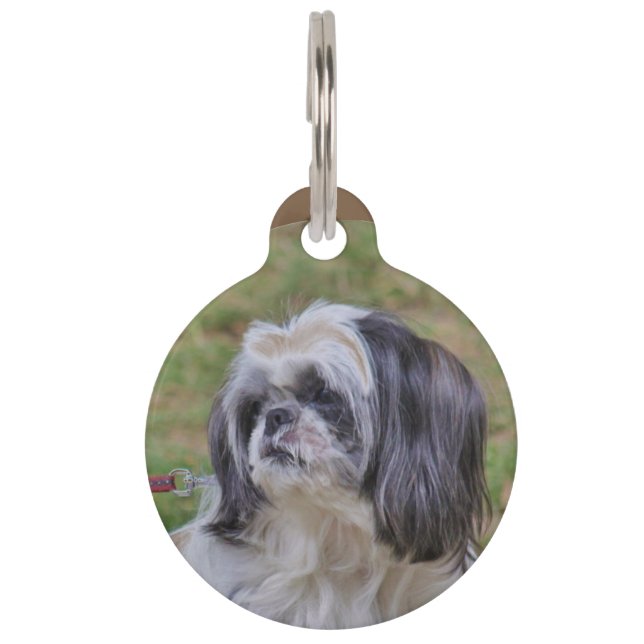 Médaillon Pour Animaux Shih Tzu (Devant)