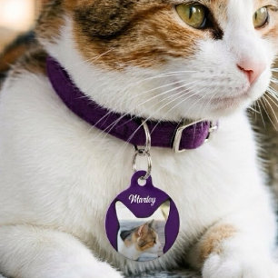Médaillon Pour Animaux Silhouette Violette Photo Personnalisée Nom Adress
