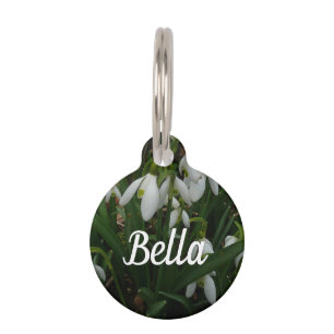 Médaillon Pour Animaux Snowdrops I