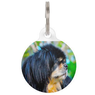 Médaillon Pour Animaux Spaniel Tibétain.