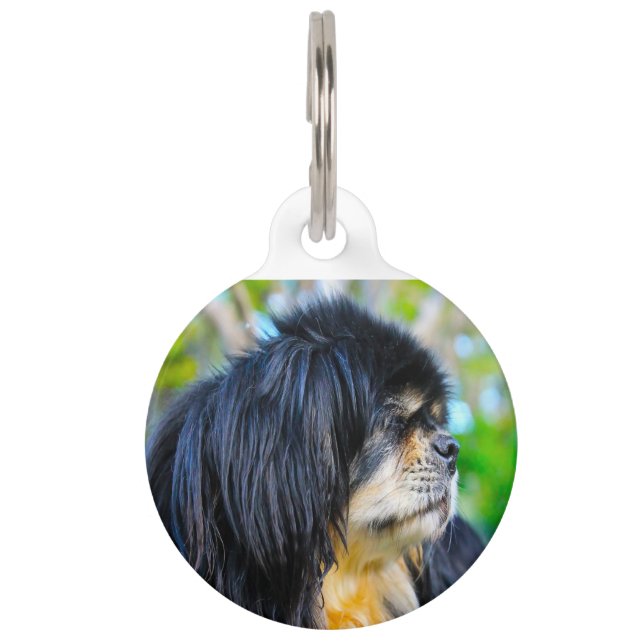 Médaillon Pour Animaux Spaniel Tibétain. (Devant)