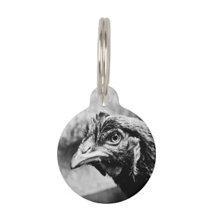 Médaillon Pour Animaux spiritueux et poulets