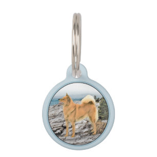 Médaillon Pour Animaux Spitz finlandais à Seashore Peinture - Chien Art
