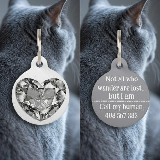 Médaillon Pour Animaux Stylish Silver Diamond Dog Cat Call ID Lost Tag
