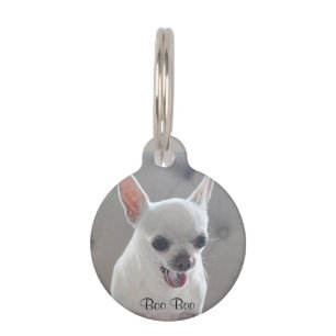 Médaillon Pour Animaux Tag Ajouter une photo